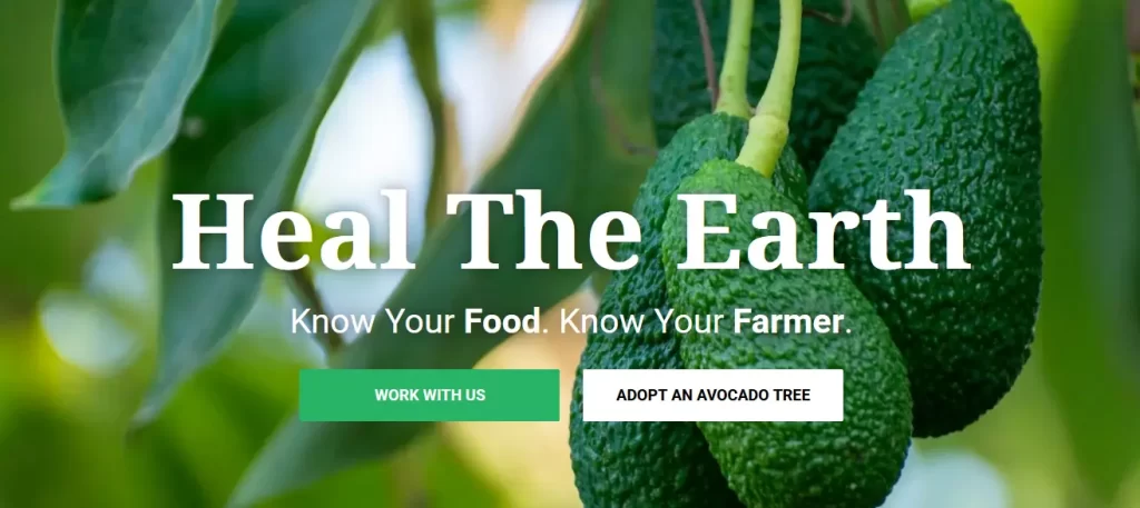 ایده کسب و کار Heal The Earth